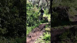 Mtb life #mtb #mountainbike #asmr