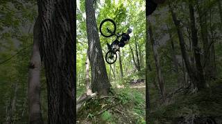 Great Berms with Jump and Tree Options #mtb