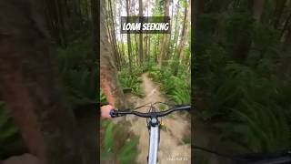 looking for loam