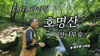  EMTB 여름 계곡 라이딩 필수 코스   ...