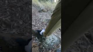 Over the bars #mtb #short #bicycle #asmr