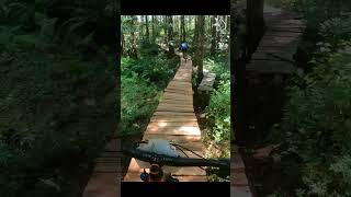 Huge MTB Bridge In Cumberland B.C...