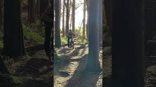 Lessons in Rotorua have been going off! Get in...