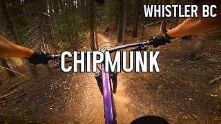 Chipmunk Rebellion - Whistler Mountain Bike
