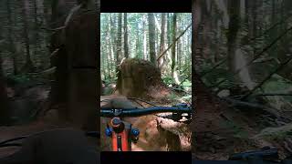 Thirsty Beaver / Cumberland B.C #cumberland...