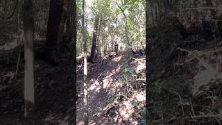 Steeper then it looks #mtb #bikes #steep