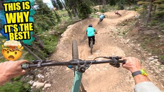 THIS IS WHY RIDING MTB DOWNHILL IN CANADA IS...