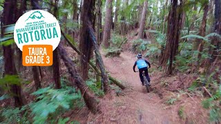 A great addition to the Whakarewarewa Forest...