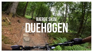 Bjerge Skov MTB Trail - Duehøgen