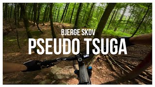 Bjerge Skov MTB Trail - Psudo Tsuga (Black)