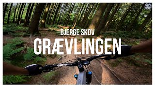 Grævlingen