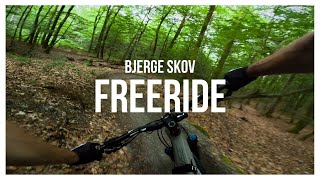 Bjerge Skov MTB Trail - Freeride (Blue)
