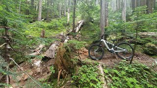 7,000ft Ebike day: Middle of Nowhere Whistler...