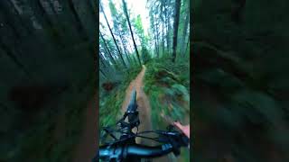 Fastest Trail in Cumberland?!
