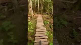 Rainbow Road #mtb