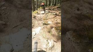Amazing Trail MTB  #mtb #mountainbike...