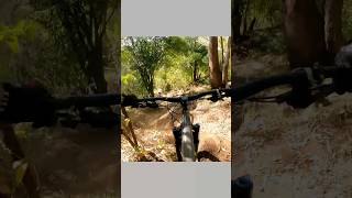 It got quite steep #mtb #bicycle #bike #asmr...