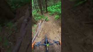 There is gold up in them hills #mountainbike