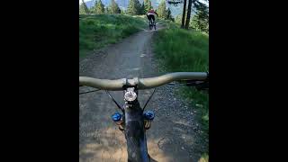 SAALBACH HINTERGLEMM Panorama Trail: flowin' ...