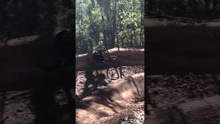 Jumps and drops #mountainbike #mtb...