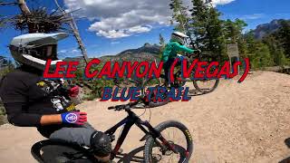Lee Canyon - Blue Trail - VEGAS Downhill MTB Park