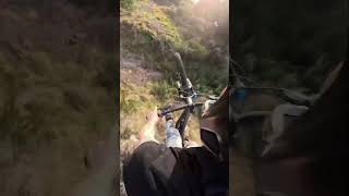 EPIC OVERGROWN MTB TRAIL POV!! #shorts