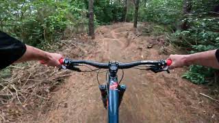 Anti Climb Ax @ Mangamahoe MTB Park. Taranaki