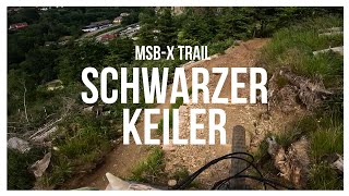 MSB-X Trail (Bikepark Sankt Andreasberg) -...