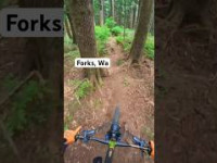 Swerving trees in the forest #mtb