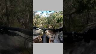 Double black diamond #bike #mtb #asmr...