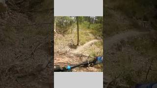 Raw #mtb #shorts