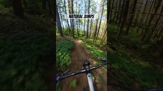 Finding some little natural hits to jump around