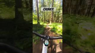 Super chunky section!