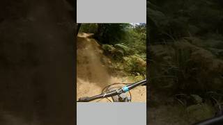Flow #mtb #asmr #bike #mountainbiking...