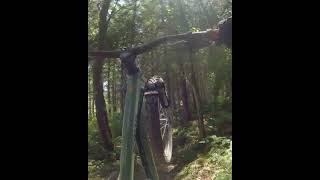 Is this the best manualing bike of all time?