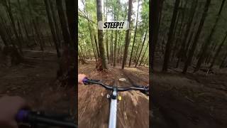 Losing elevation quickly!