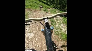 SAALBACH HINTERGLEMM Bergstadl Trail mit...