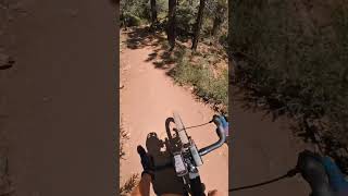Gravelbike + Singletrack