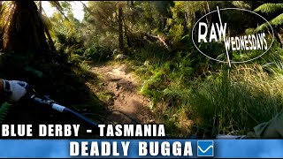 DEADLY BUGGA | Blue Derby | RAW WEDNESDAYS