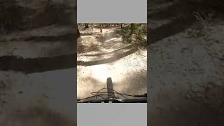 Flow race #bike #mtb #mtblife #shorts