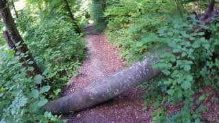 Besserstein Trail