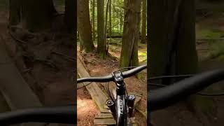 Mountain bike playground #bike #northshore