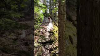 Epic Whistler Slab! #mtb #mountainbiking #bike...