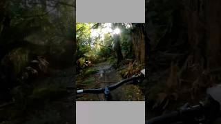 Incredible riding #bike #shorts