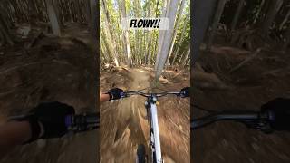 Fast and Flow #downhillmtb