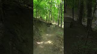 Black Drop Line | Paradise Playground
