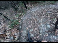 Sam's DH Pennant Hills Park Lane Cove National...