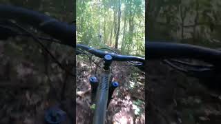 Giga chad trails #bike #mtb