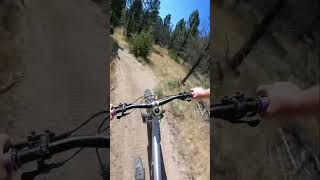 First Jump Was NOT What I Expected #mountainbike