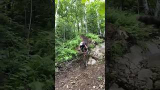 Steep Loam Chute